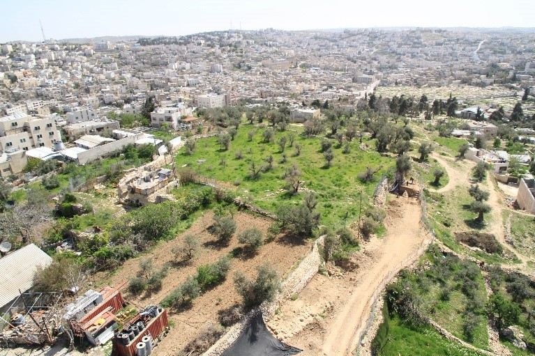 上图:希伯仑古城遗址。 上图:希伯仑古城遗址。