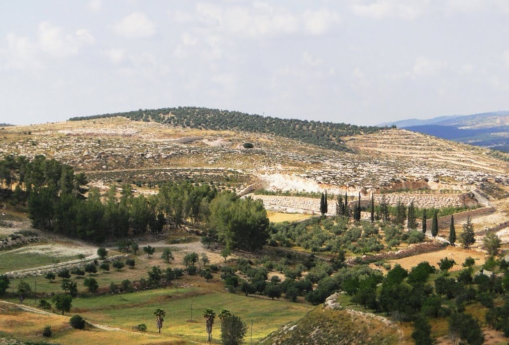 上图：基伊拉遗址。